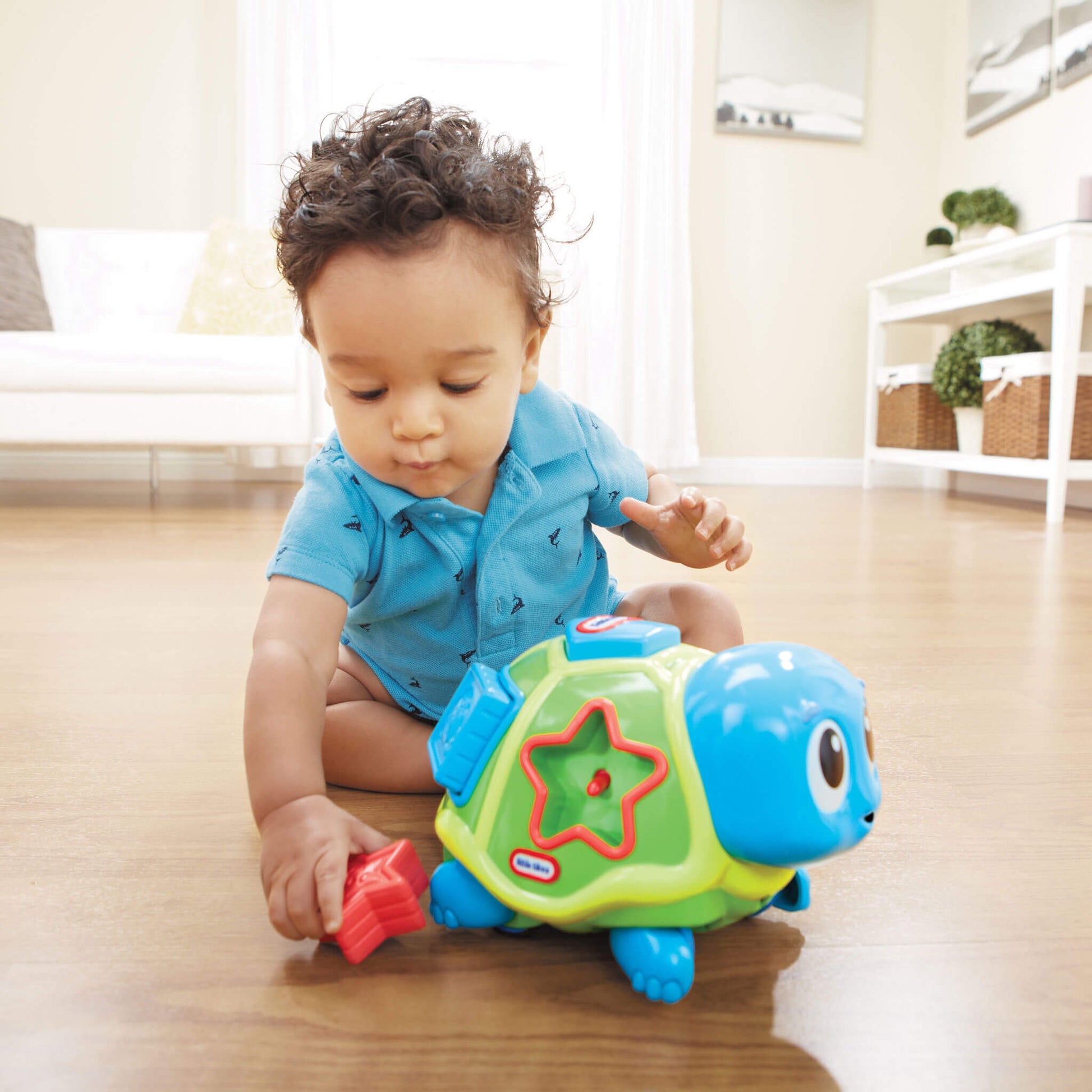 Crawl 'n Pop! Turtle - Shape Sorter & Crawling Toy | Little Tikes | Savings